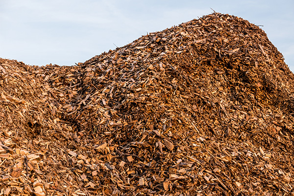 Wood chips for sale